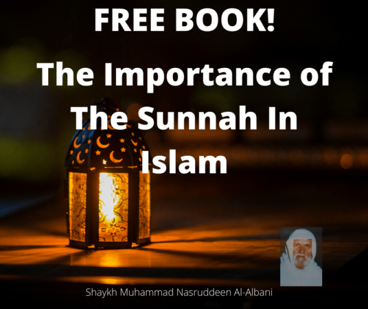 the importance of the sunnah in Islam